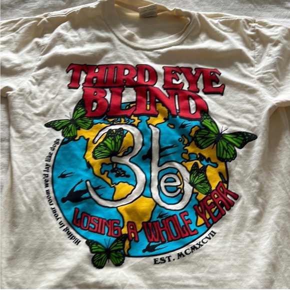 ISO Third eye blind losing a whole year or the how’s it going to be shirt